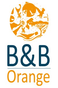 B&B Orange logo jpg